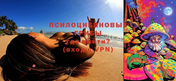 первитин Богданович
