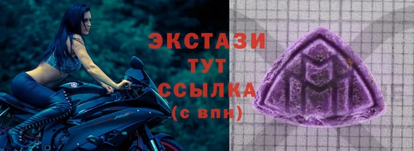дживик Богородицк