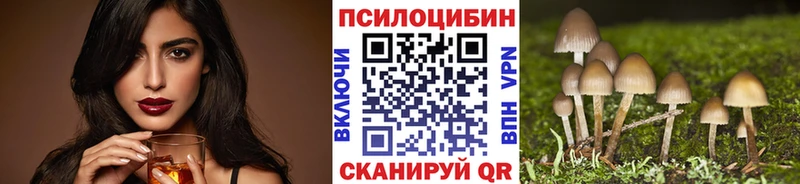 Псилоцибиновые грибы Magic Shrooms  магазин продажи   Межгорье 